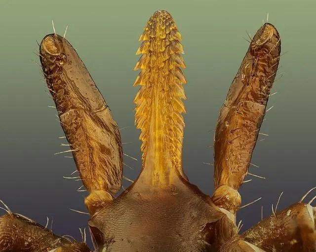 Recenzja CRKD Nitro Deck (Switch): niemal idealne doświadczenie na urządzeniu przenośnym