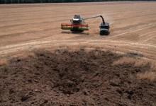 Wojna na Ukrainie: U rolników zboża rośnie niepokój, gdy rozpoczynają się żniwa w ramach rosyjskiej blokady