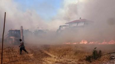 Ostre pożary wymuszają ewakuację na greckiej wyspie Lesbos