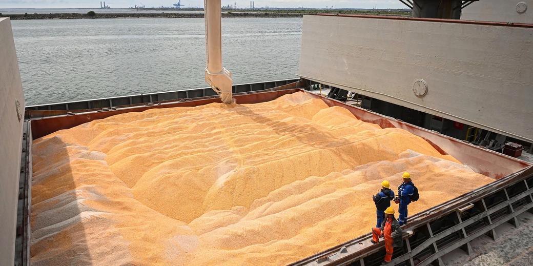 Zełenski obiecuje pomóc wyżywić Afrykę i zwiększyć globalne bezpieczeństwo żywnościowe dzięki programowi Grain from Ukraine