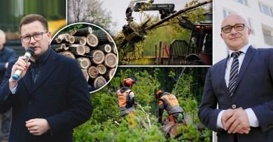 Protest w obronie drzew w Parku Śląskim w Chorzowie