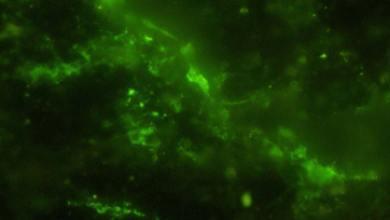 Naukowcy rozbili kamień sprzed 2 miliardów lat i odkryli coś zupełnie nieoczekiwanego