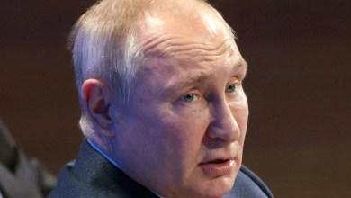 Putin kpi z Brytyjczyków, którym proponuje się rzepę do jedzenia, gdy zachodnie sankcje wobec Rosji „zawodzą”