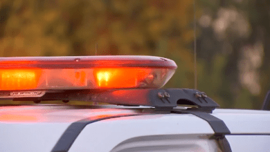 Grupa podejrzana o próbę kradzieży muralu Banksy’ego na Ukrainie aresztowana